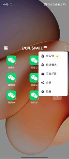 DualSpace Pro - 应用多开神器