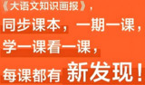 快乐学习报《2025大语文知识画报·1-6年级下》 (1-26期完结)