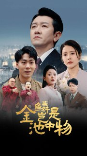 2025年6月3日合集目录8 / 最新 短剧