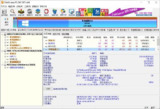 DiskGenius PRO - 2025最新版专业数据恢复软件神器