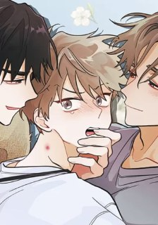 《梨花绽放之恋》漫画(韩漫)