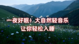 大自然助眠音乐合集