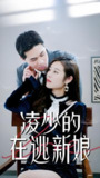 凌少的在逃新娘 (100集) | 短剧