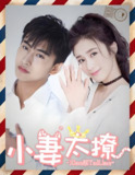 短剧《小妻太撩》全集 (81集)｜契约婚姻×甜宠翻倍【短剧甜宠天花板】