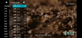 你的电视 - 内置数千直播源的安卓电视直播应用