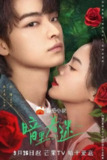 暗里着迷 (2023)