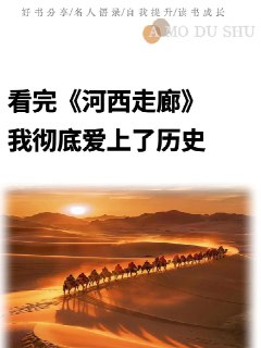大人孩子都适合看的高分纪录片推荐《河西走廊》豆瓣9.7分