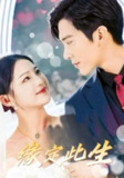 短剧《缘定此生》全集（87集）命中注定的契约婚姻 崔秀子×冯思源情感纠葛