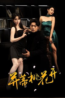 并蒂桃花开&双生烬（39集）罗东旭&张乙萌 /最新 短剧