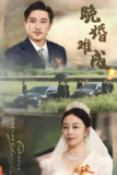 晚婚难成 (60集) 孔智盈&路思奇 | 短剧