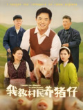 我教村民养猪仔 (30集) 贾紫倩 | 短剧