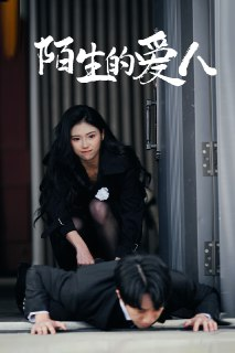 陌生的爱人 (60集) 骆虹宇 | 短剧