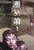 湘女萧萧 (1986)