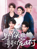 野丫头被哥哥们宠坏了（80集）李子锋&刘盈 /最新 短剧