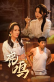 鹿鸣（40集）苗峯&张婉悦 /最新 短剧