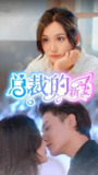 总裁的新妻 (105集) | 短剧