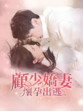顾少娇妻怀孕出逃 (90集) | 短剧