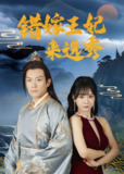 短剧《错嫁王妃来选秀》全集（80集）错嫁王妃逆境重生｜王永峰×林慧×朱碧漪古装大戏
