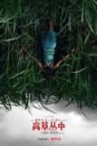 电影《高草丛中》(2019) 4K HDR外挂双语字幕，斯蒂芬·金同名小说改编恐怖悬疑