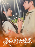 爱似野火燎原 (47集) 刘博文&景晓媚 | 短剧