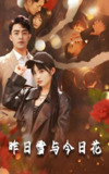 昨日雪与今日花 (81集) 刘月涛&张紫璇&安晓洁 | 短剧