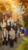 短剧《怼天怼地黄老太》全集（60集）赵健陈洁演绎硬核老太逆袭日常
