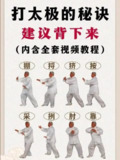 太极拳视频教程 养生必备
