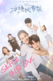 [国产剧][冰糖炖雪梨][2020][全40集][国语中字][1080P][23G]