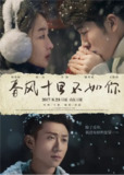 [国产剧][春风十里不如你][2017][全40集][国语中字][1080P][21G]