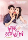 [国产剧][从结婚开始恋爱][2020][全35集][国语中字][4K HQ高码][单集4G][163G]