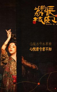 《长安的荔枝 (2025)》4K 更至27