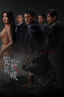 完美的救赎(2025)IQ 4K 内封简中 首更04集