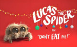 幼儿英语启蒙动画《小蜘蛛卢卡斯 Lucas the Spider (中英字幕) 》