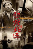 电视剧《狼烟北平》（2009）— 1937年北平抗战时期的多方势力斗争史诗