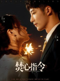 焚心指令 (80集) 王燕阳&高瑞婷 | 短剧
