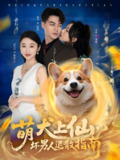 萌犬上仙坏男人退散指南 (34集) 彭依琪&都钊 | 短剧