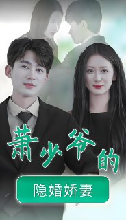 萧少爷的隐婚娇妻 (96集) | 短剧