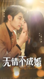 无情不成婚 (70集) 王子林&盛晨 | 短剧