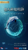 世上最蓝的海 Great Barrier Reef：A Living Treasure(2019)