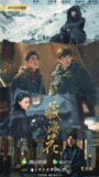 [藏海花][2024][全32集][国语中字][4K高码][32G]