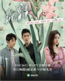 [国产剧][芳心荡漾][2022][全12集][国语中字][4K DV高码][单集3G][39G]