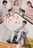 情似繁花渐落 (62集) 李明源&顾沅真 | 短剧