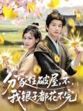短剧《分家住破屋，不，我银子都花不完》全集（80集）+ 一个富裕家庭如何面对突如其来的家庭变故