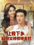 让我下乡科研女神惊艳全村 (82集) 于龙&张紫菡 | 短剧