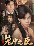 短剧《笼中之臣》全集（67集）杨宇斌谭雯文主演 | 欲望权谋交织的情感反转短剧大作