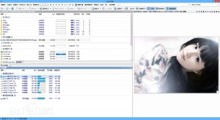 DirectoryOpus(文件管理器) v13.16.5 电脑版 专业版