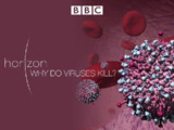 病毒为何致命 Why Do Viruses Kill (2010)