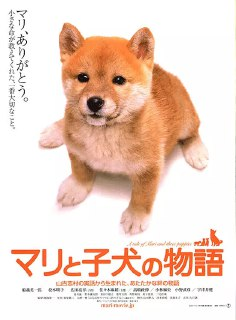 爱犬的奇迹 マリと子犬の物語 (2007)