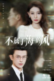 不属于海的风 (40集) 董炜&武伯言 | 短剧