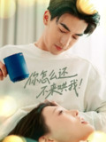 短剧《你怎么还不来哄我》全集（30集）禹星臣刘欣悦主演甜虐爱情短剧